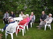Sveriges-Nationaldag-2012
